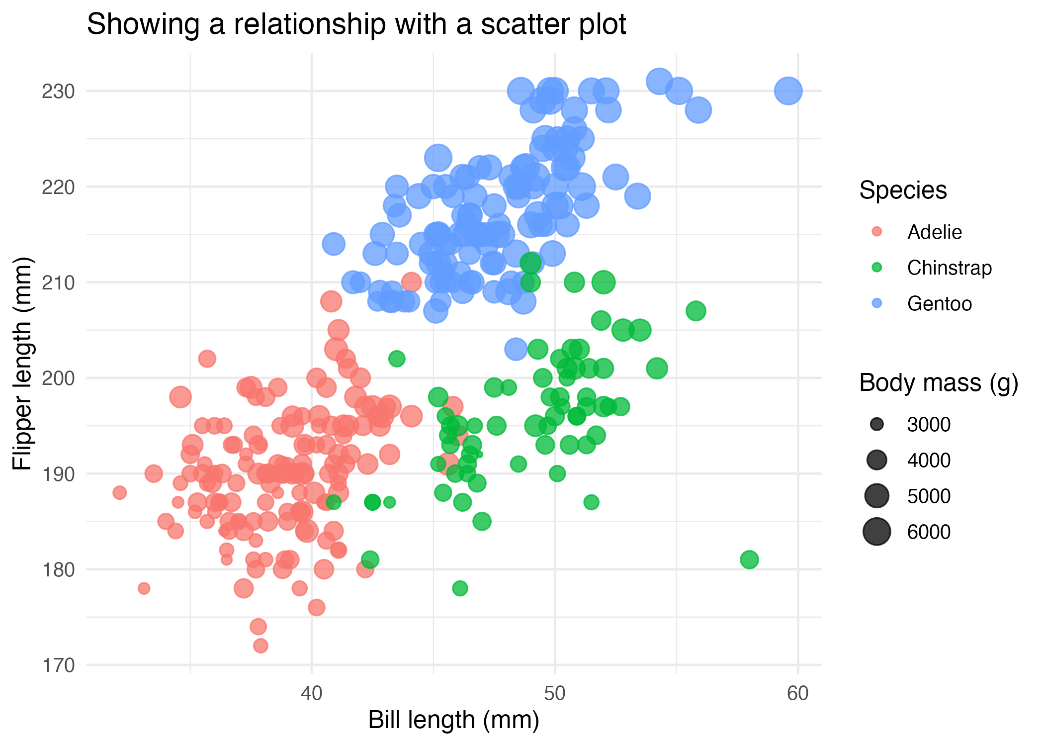 03-relationship-scatter.png